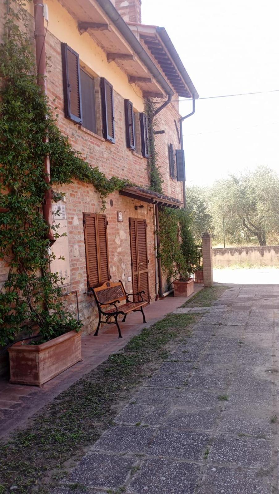 Agriturismo La Pergola Castiglione del Lago Exteriör bild
